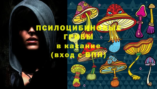 ПСИЛОЦИБИНОВЫЕ ГРИБЫ Наволоки