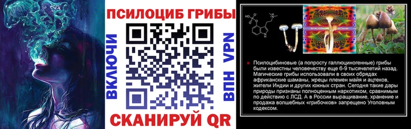 Псилоцибиновые грибы Cubensis Купить закладки Кондопога